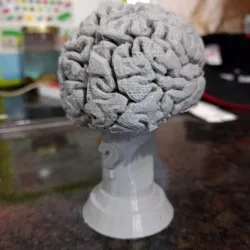 Trivia Night Trophy
