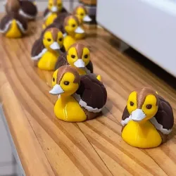 TURTLEDUCK