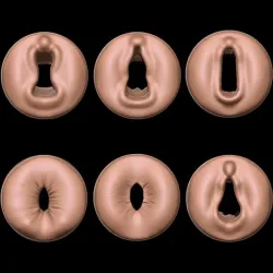 VAGINA AND ANUS