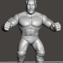 wwf wwe aew ecw wcw