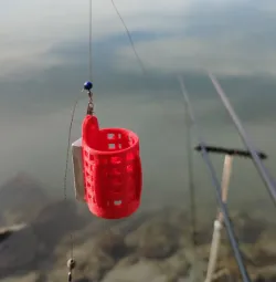 Cage Feeder