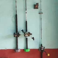 Cane wall support