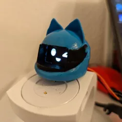 Cat ear helmet for Mochi