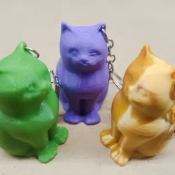 Cat with keys