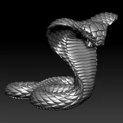 cobra