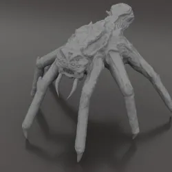 cryptic spider