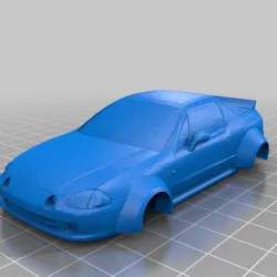 Delsol widebody with ducktail