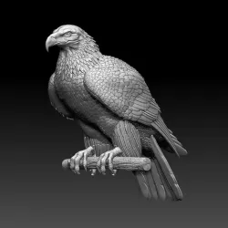 eagle