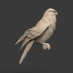 falcon
