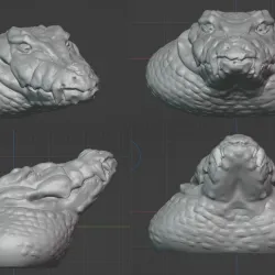 Fat Crocodile Head