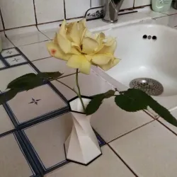Hexagonal vase