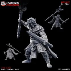 high elf sword mage