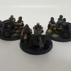 Hive-City Guard Heavy Weapons Squad