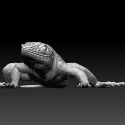 lizard