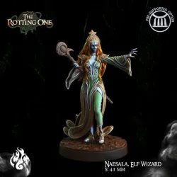 Naesala, Elf Wizard