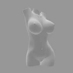 Naked body (2 parts)