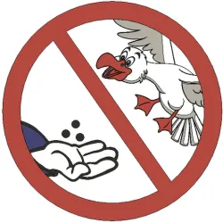 NO BIRD FEEDING PLEASE - MMU SIGN