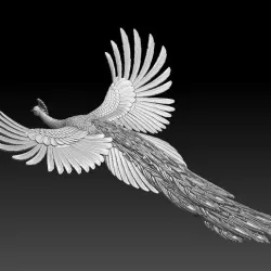 peacock