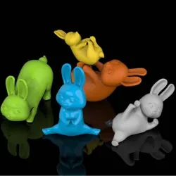 rabbits