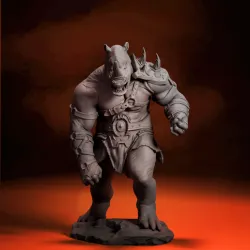 RAINO FANTASY FOOTBALL -The Rhino