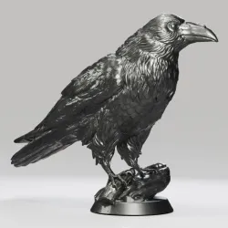 Raven