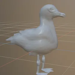 Seagull