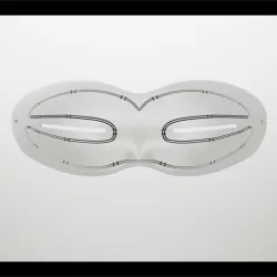 Snow goggles