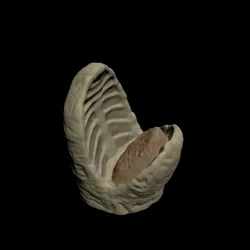 Star Wars Sarlaac Beak for 3.75" and 6" figures