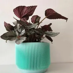 Stripes Planter_01