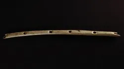 The Flute
