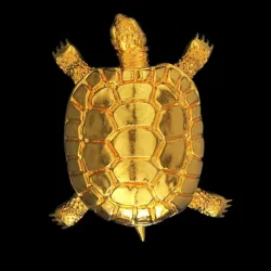 TURTLE TORTOISE 3D print model