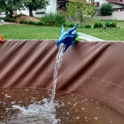 Water spitting Dragon