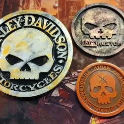 21 Skull logo medallions