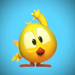 Chicky baby chick
