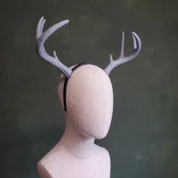 Deer Antlers | Tracy