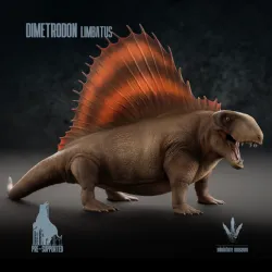 Dimetrodon limbatus : The Terror of the Permian