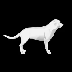 Dog low poly