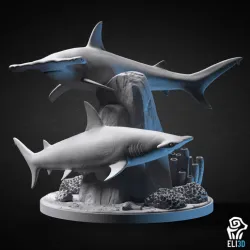 Hammerhead Shark Diorama - Animal