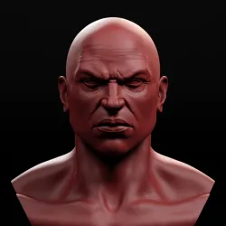 Male Bust
