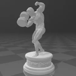 Mister Universe