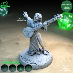 Nayana, gnome bard