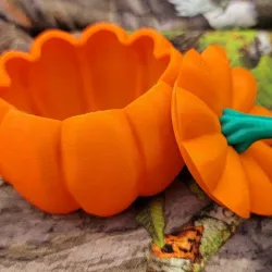 Pumpkin Shaped Container
