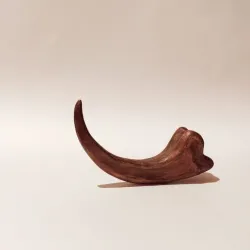 Raptor Claw