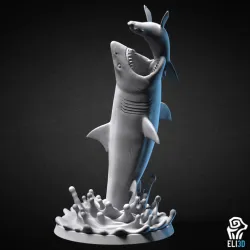 Shark Hunting Seal - Animal