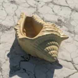 Shell Planter