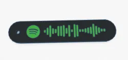SPOTIFY KEYCHAIN - NEVER WANTED