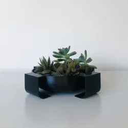 Succulent planter bowl - garden on your desk