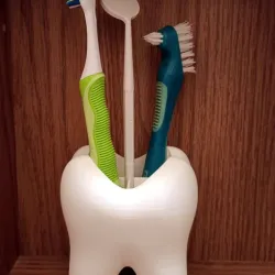 Toothbrush Holder Tooth