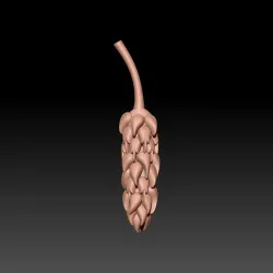 wheat 3D