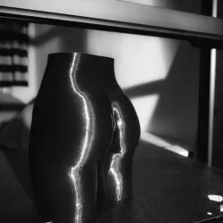 3D Ass-Scan